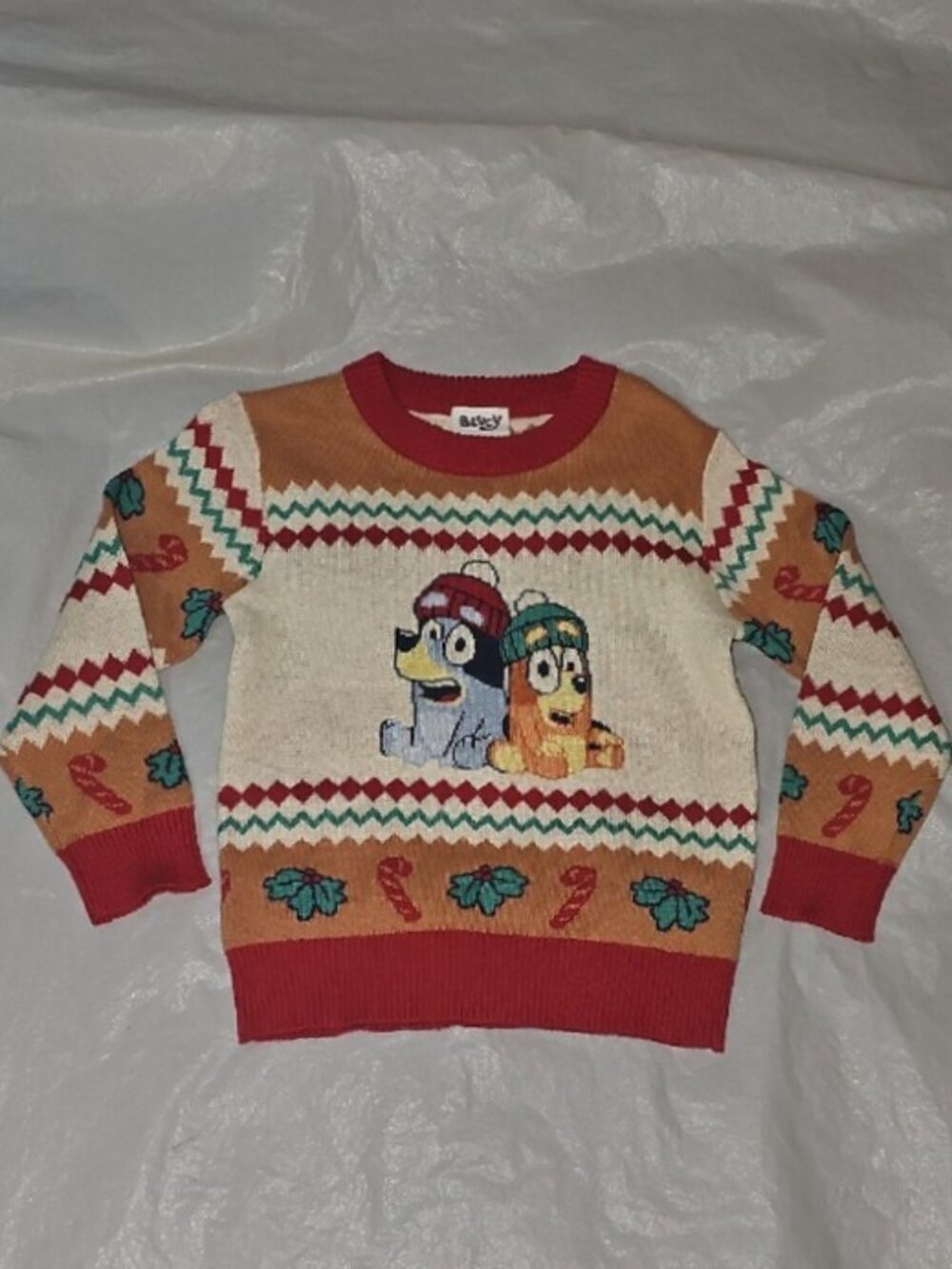 Bluey Holiday 3T Kids Sweater Used